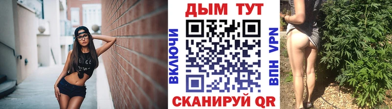даркнет клад  Горно-Алтайск  Марихуана White Widow  гидра как войти 